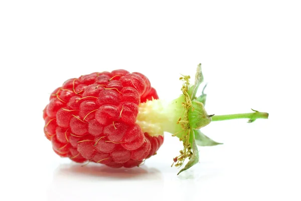 Fresh juicy raspberry — Stock Photo, Image