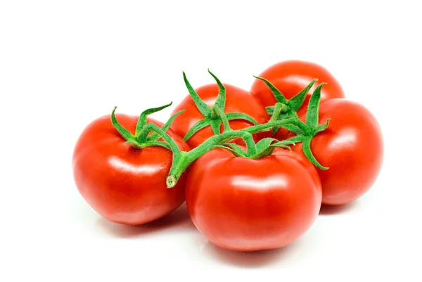 stock image Fresh juicy tomatoes