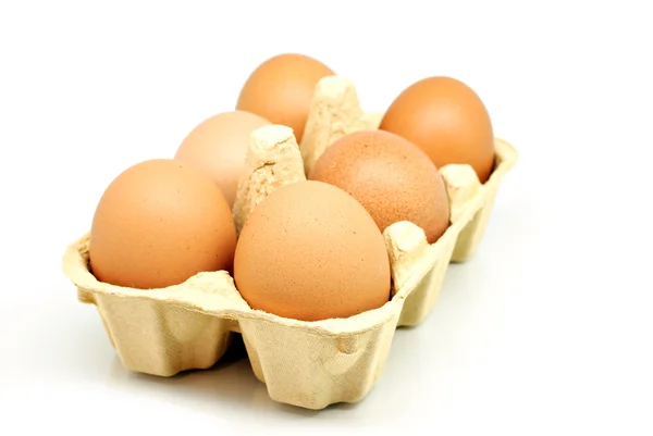 stock image Eggs in box