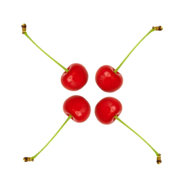 Sour cherry cross — Stock Photo, Image