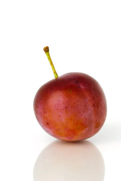 Fresh juicy plum — Stock Photo, Image