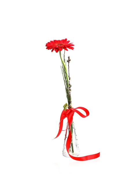 Červené gerber v váza — Stock fotografie