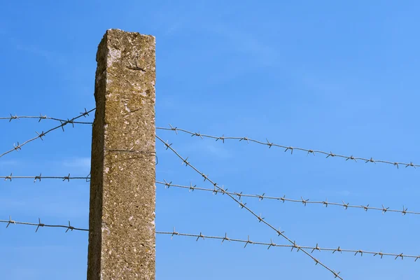 stock image Barbed wire