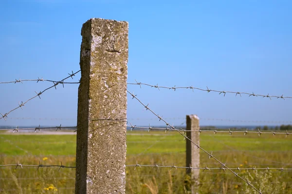 Hek van prikkeldraad — Stockfoto