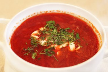 Ukrayna ve Rus ulusal kırmızı çorba-borsch. portre