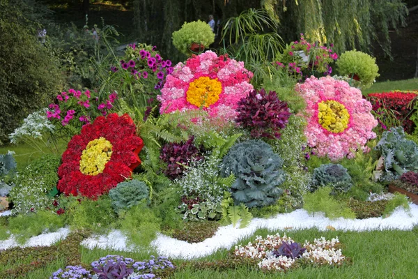 Bloeiende bloemen in de late zomer tuin bloembedden — Stockfoto
