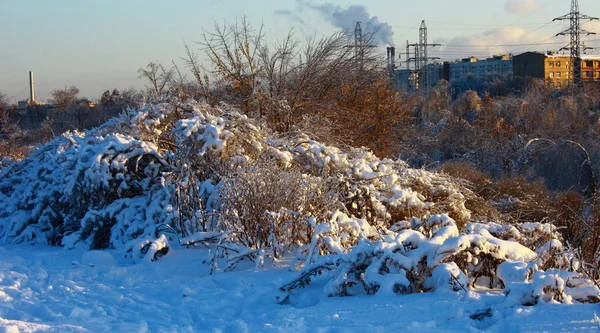 Stadtlandschaft im Winter — Stockfoto