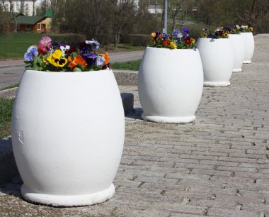 Birçok beyaz vazolar