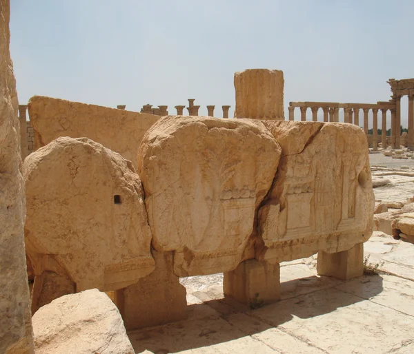 Palmira é um oásis no deserto — Fotografia de Stock