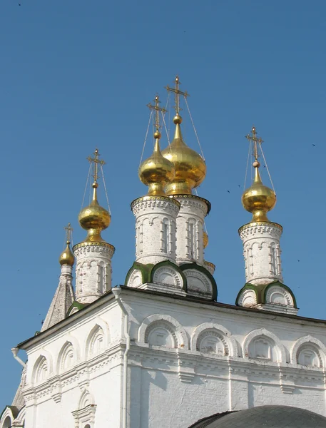 Ryazan Kremlin domes — Stock Photo, Image