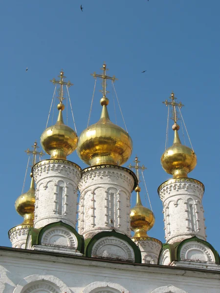 Cúpulas Ryazan Kremlin — Fotografia de Stock
