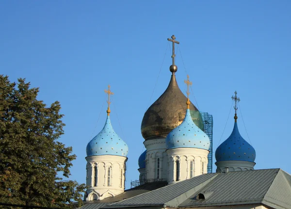 Купола Новоспасского монастыря в Москве — стоковое фото