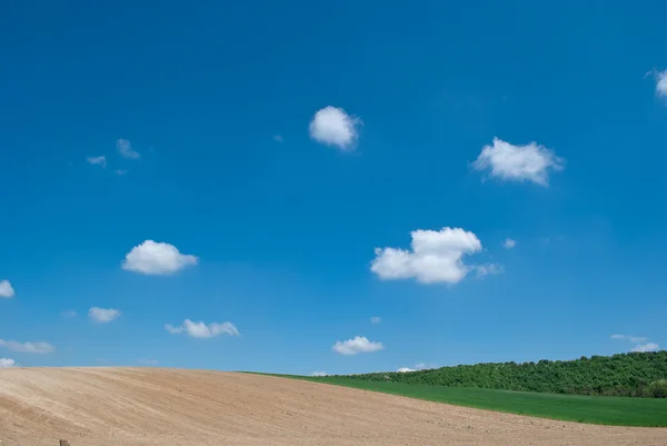 Empty field under blue sky — Stock Photo, Image