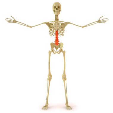 Skeleton clipart