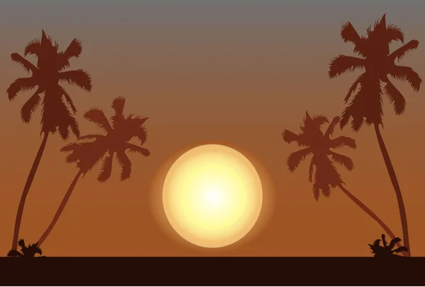 日落时带著椰子树的海滩 — 图库矢量图片