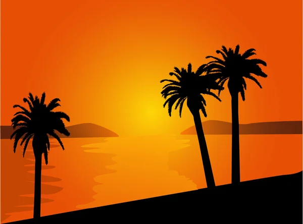 Gün batımında palmiye ağaçları olan plaj — Stok Vektör