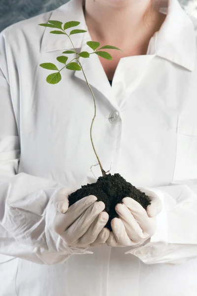 stock image Ecologic laboratory, new source of energy!