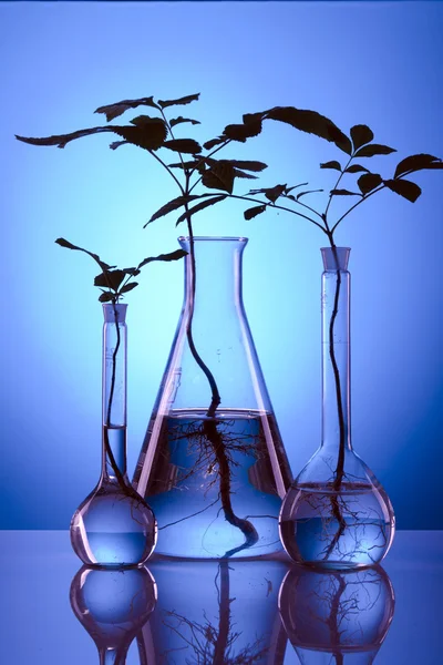 Ecologic laboratóriumi, új energiaforrás! — Stock Fotó