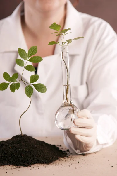 stock image Ecologic laboratory, new source of energy!