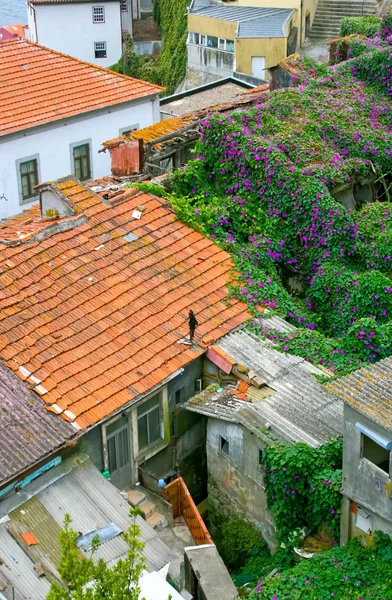 Kolorowe czerwone dachy starego Porto — Zdjęcie stockowe