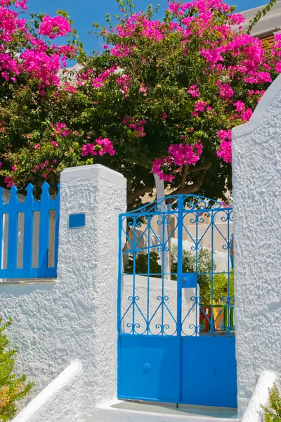 Klasik Santorini'de renkli çiçekli sokak — Stok fotoğraf