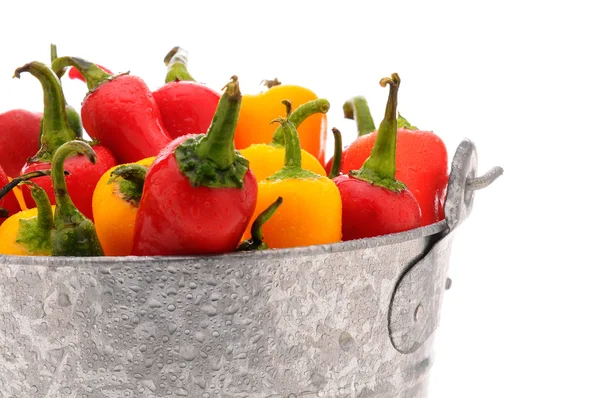 Pimentos e pimentas em balde de metal — Fotografia de Stock