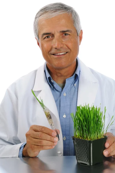 Forskare med provrör växt — Stockfoto