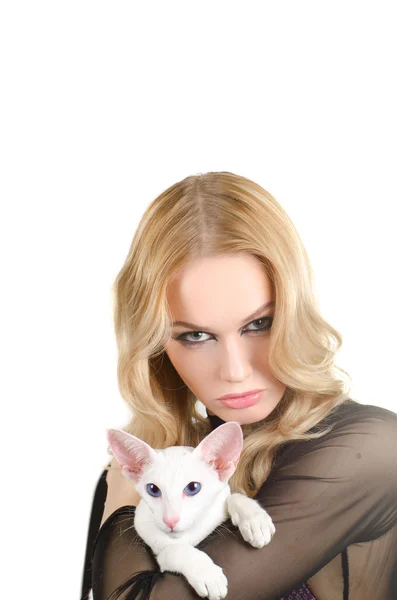 Kobieta kot orientalny Stenografia — Zdjęcie stockowe