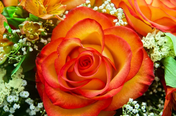 Turuncu gül çiçek buketi — Stok fotoğraf