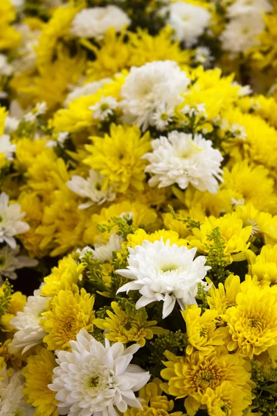 stock image Flower bed