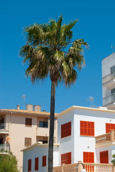 Rumah-rumah kelapa sawit dan perumahan terkunci untuk tidur siang, Majorca, Spai — Stok Foto