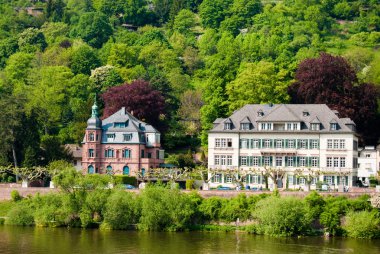 Heidelberg neckar nehir üzerinde tarihi evleri