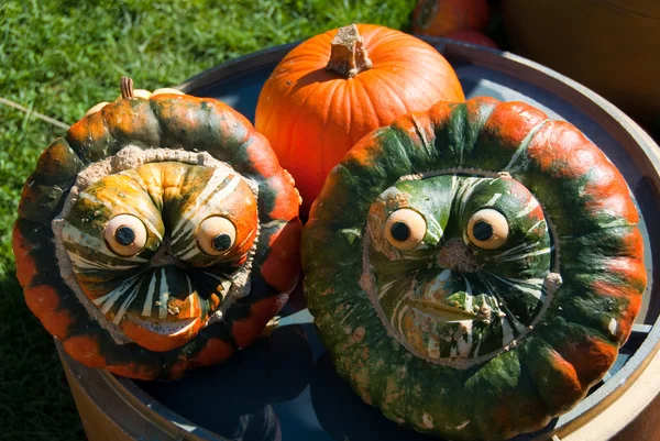 Funny pumpkin faces — Stock Photo, Image