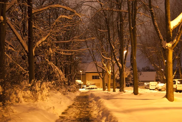 Gece uzun pozlama üzerinde kış lane — Stok fotoğraf