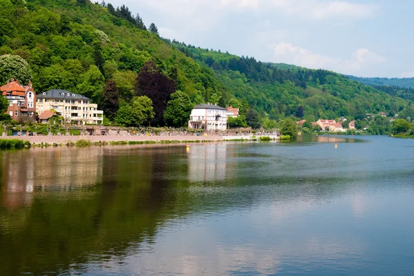 Heidelberg bostäder och neckar floden — Stockfoto