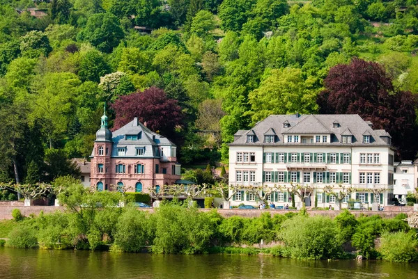 Historische Häuser am Neckarufer in Heidelberg — Stockfoto