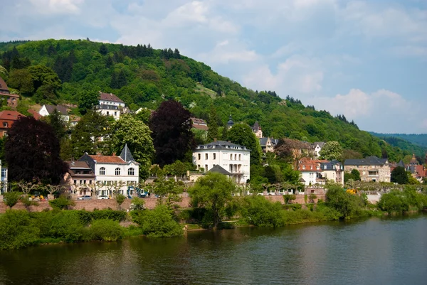 Bank of the Neckar river and Heidelberg embankment — Stock Photo, Image