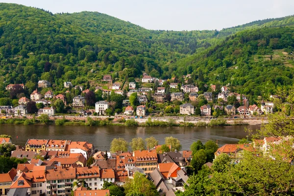 Wzgórza i rzeki neckar w Heidelbergu — Zdjęcie stockowe