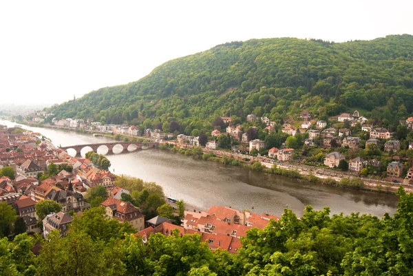 Heidelberg alte brücke und das stadtbild — Stockfoto