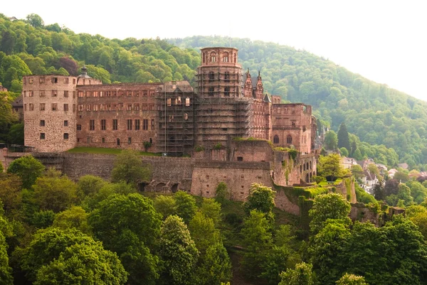 Heidelberg castle ve ormanları tepenin üzerinde — Stok fotoğraf