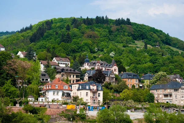 Heidelberg hill distrikt — Stockfoto