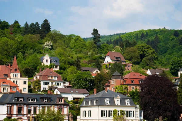 Dzielnicy Wzgórze Heidelberg — Zdjęcie stockowe