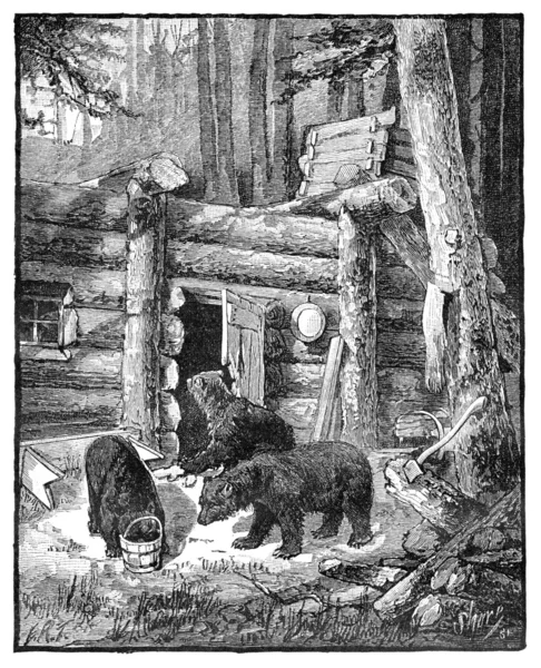 製材キャンプの解任のクマ — ストック写真