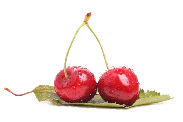 Duas cerejas vermelhas em uma folha — Fotografia de Stock