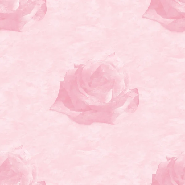 纹理的淡粉红色的玫瑰 — 图库照片