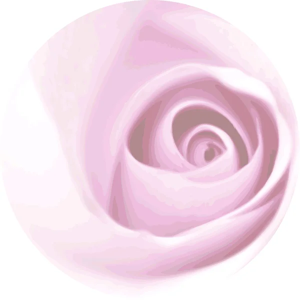 Cercle rose — Image vectorielle