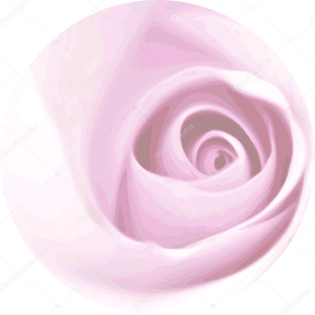 Rose circle