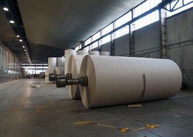 Paper and pulp mill plant - Rolls of cardboard clipart