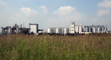 Yenilenebilir enerji: biyodizel üretimi