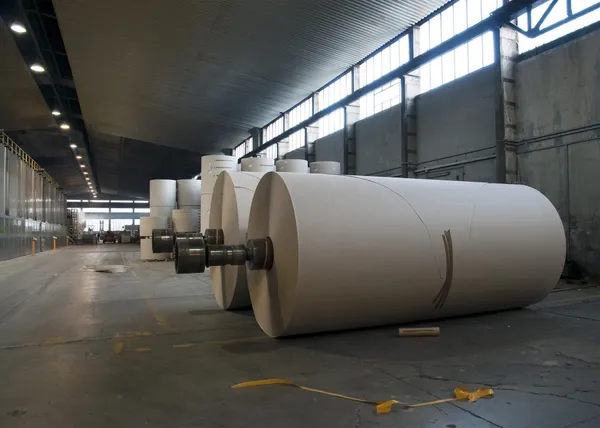 Fábrica de papel e celulose - Rolos de papelão — Fotografia de Stock